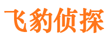 硚口市调查公司